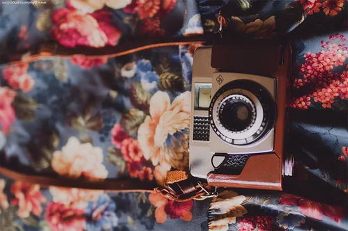 小說里正能量的句子