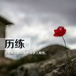 微商正能量的句子早安語錄經(jīng)典語錄