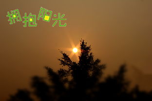 早晨起來擁抱太陽正能量的句子