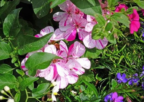 句子,能量,學(xué)生