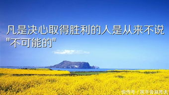 人心,句子,激勵(lì),能量