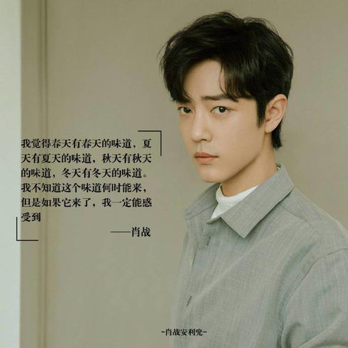 追星,句子,能量,肖戰(zhàn)正