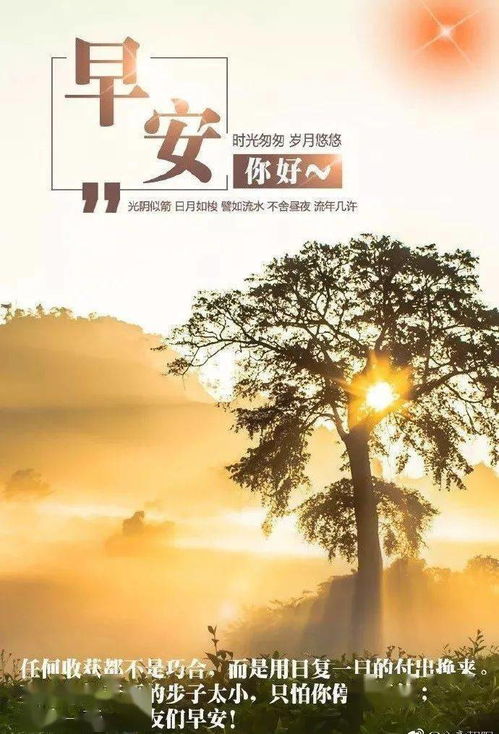 感悟人生早安正能量的句子