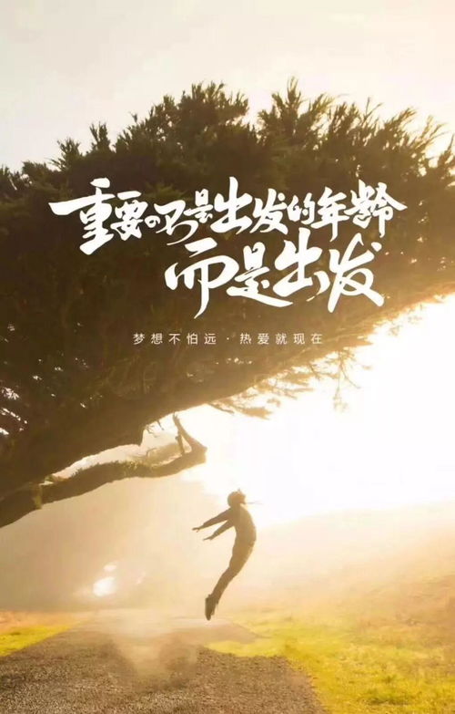 不抱怨正能量的句子經(jīng)典語(yǔ)句,正能量的句子經(jīng)典語(yǔ)句,志愿者正能量的句子經(jīng)典語(yǔ)句