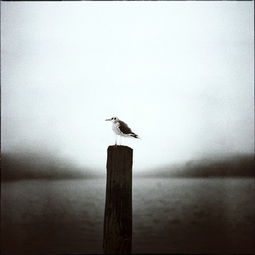 帶辣媽的正能量句子