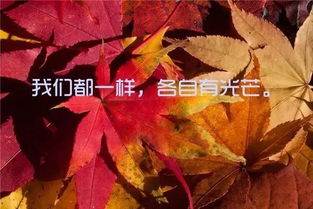 月光的正能量句子