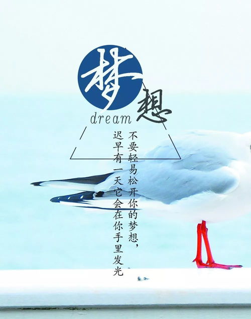 關(guān)于投資期貨正能量的句子