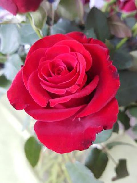 贊國(guó)家正能量句子