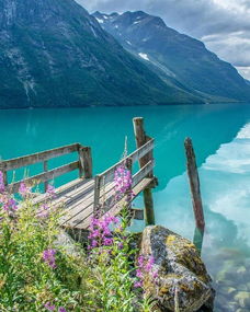 保持好心態(tài)的句子句句經(jīng)典正能量