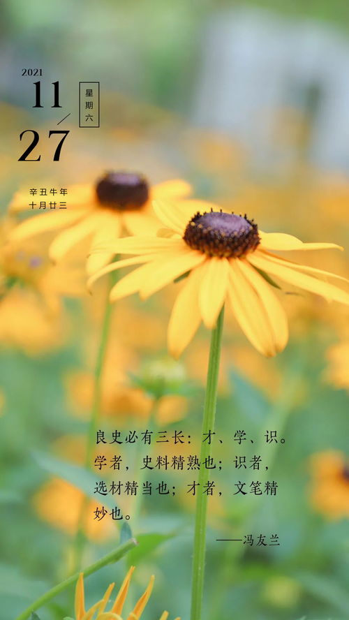 句子,勵志,早上好,能量