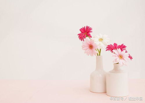 樂觀心態(tài)工作的正能量句子,生活樂觀心態(tài)的正能量句子,樂觀心態(tài)的正能量句子簡(jiǎn)短