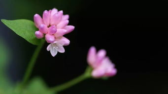 早上正能量滿滿的朋友圈的句子簡單,早安正能量滿滿的句子朋友圈,早安勵志正能量滿滿的句子朋友圈