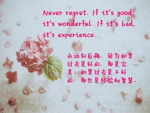 正能量唯美英文句子大全集