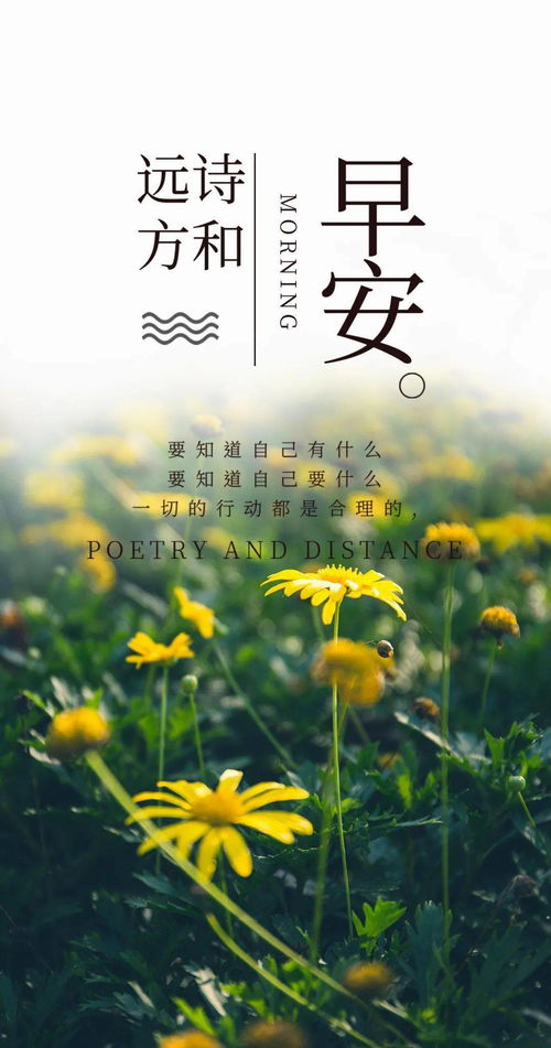 早上朋友圈的句子正能量陽(yáng)光