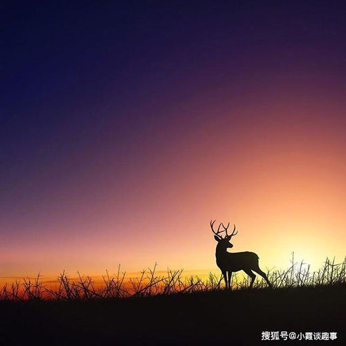 女人心態(tài)陽(yáng)光正能量的句子