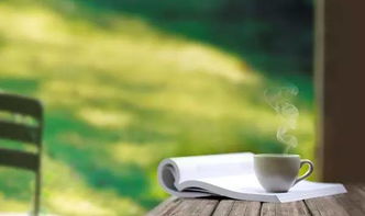 句子,能量,就業(yè)