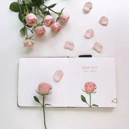 抖音正能量開(kāi)心的句子