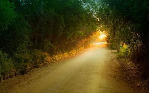 正能量影響別人的句子,正能量幫助別人短句子,給別人正能量的句子