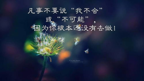 彭于晏正能量的句子經(jīng)典語句