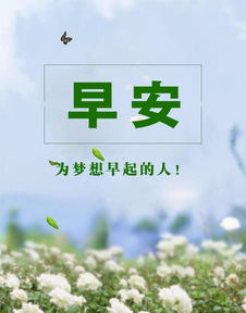 早安有正能量的句子發(fā)朋友圈怎么寫,早安勵(lì)志正能量的句子,早安語錄正能量的句子