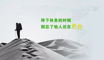 關(guān)于人情世故的句子,罵不懂人情世故的人句子,人情世故正能量語(yǔ)錄