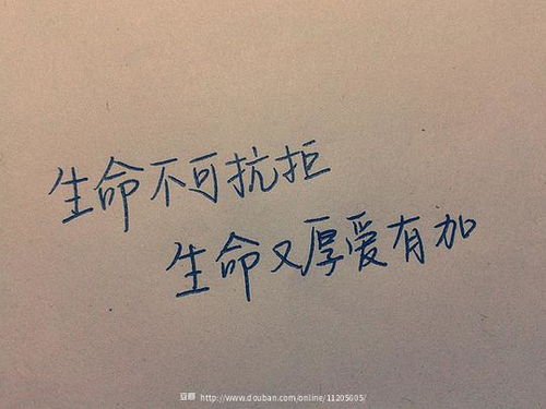 周六快樂(lè)正能量的句子,傳遞快樂(lè)正能量的句子,描寫(xiě)勞動(dòng)快樂(lè)正能量的句子