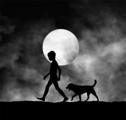 心向陽光的正能量句子,心向陽光正能量的簡短句子,心向陽光正能量的句子朋友圈