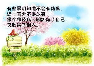 摘抄,句子,能量,感悟