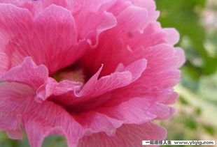 幼教學習正能量句子