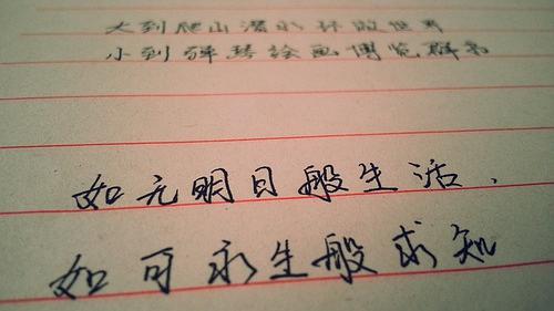 描寫(xiě)人品正能量的句子