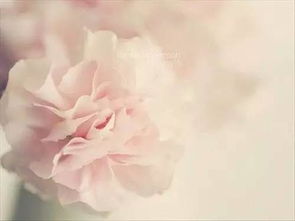 關(guān)于護(hù)膚品正能量的句子,護(hù)膚品正能量的美麗句子,護(hù)膚品早上發(fā)圈正能量的句子