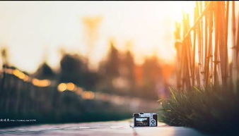 關(guān)于女人掙錢正能量句子