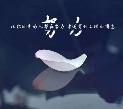 說說句子霸氣正能量