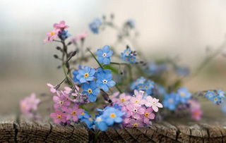 教育壞人的正能量句子,關(guān)于幼兒園教育正能量的句子,教育語(yǔ)錄正能量句子