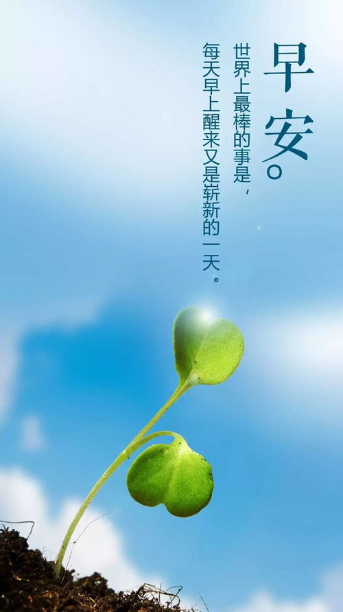 早安正能量的勵志句子帶圖