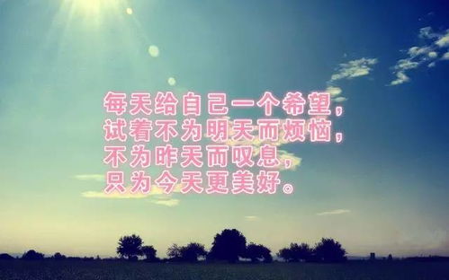 堅持勵志正能量的句子,早上好勵志正能量句子,職場勵志正能量句子