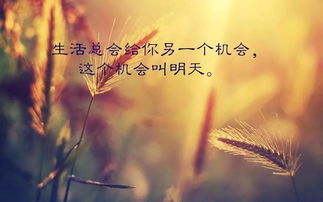 早安正能量句子勵志-每日一句,每日一句正能量早安句子,每日一句正能量八個字句子