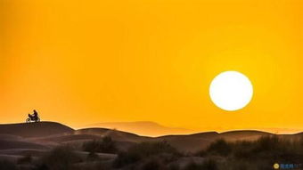 色情正能量傳播的句子