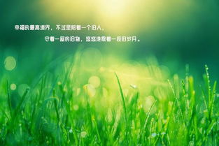 句子,能量,現(xiàn)代詩(shī)歌,陽(yáng)光