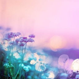 正能量激勵(lì)生活的句子