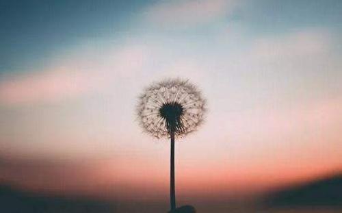 能吃苦的正能量句子