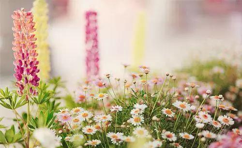 春天快過去了的時(shí)候正能量的句子