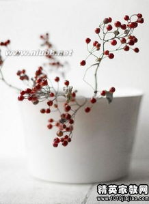 積極向上的句子正能量幼兒園