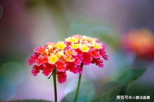 正能量意境的句子