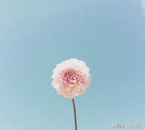 上進(jìn),句子,能量,陽光