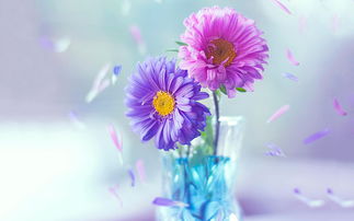 正能量貸款句子