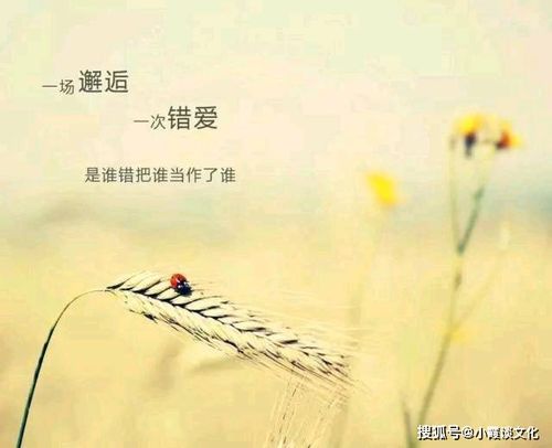 表揚(yáng)團(tuán)隊(duì)精神正能量的句子,表揚(yáng)少年正能量的句子,表揚(yáng)正能量滿滿的句子