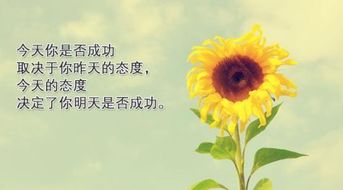 正能量積極向上短句子