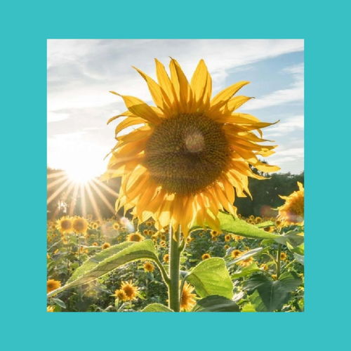 精致工藝正能量的句子