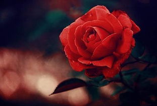 旅游結束后正能量的句子